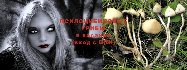 твердый Абдулино