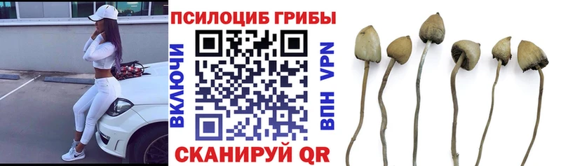 Псилоцибиновые грибы мухоморы  Тутаев 